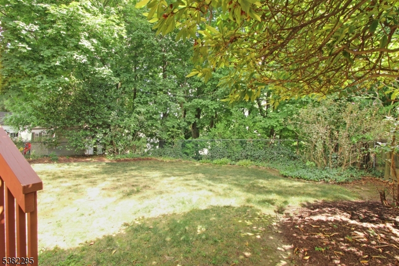 image 45