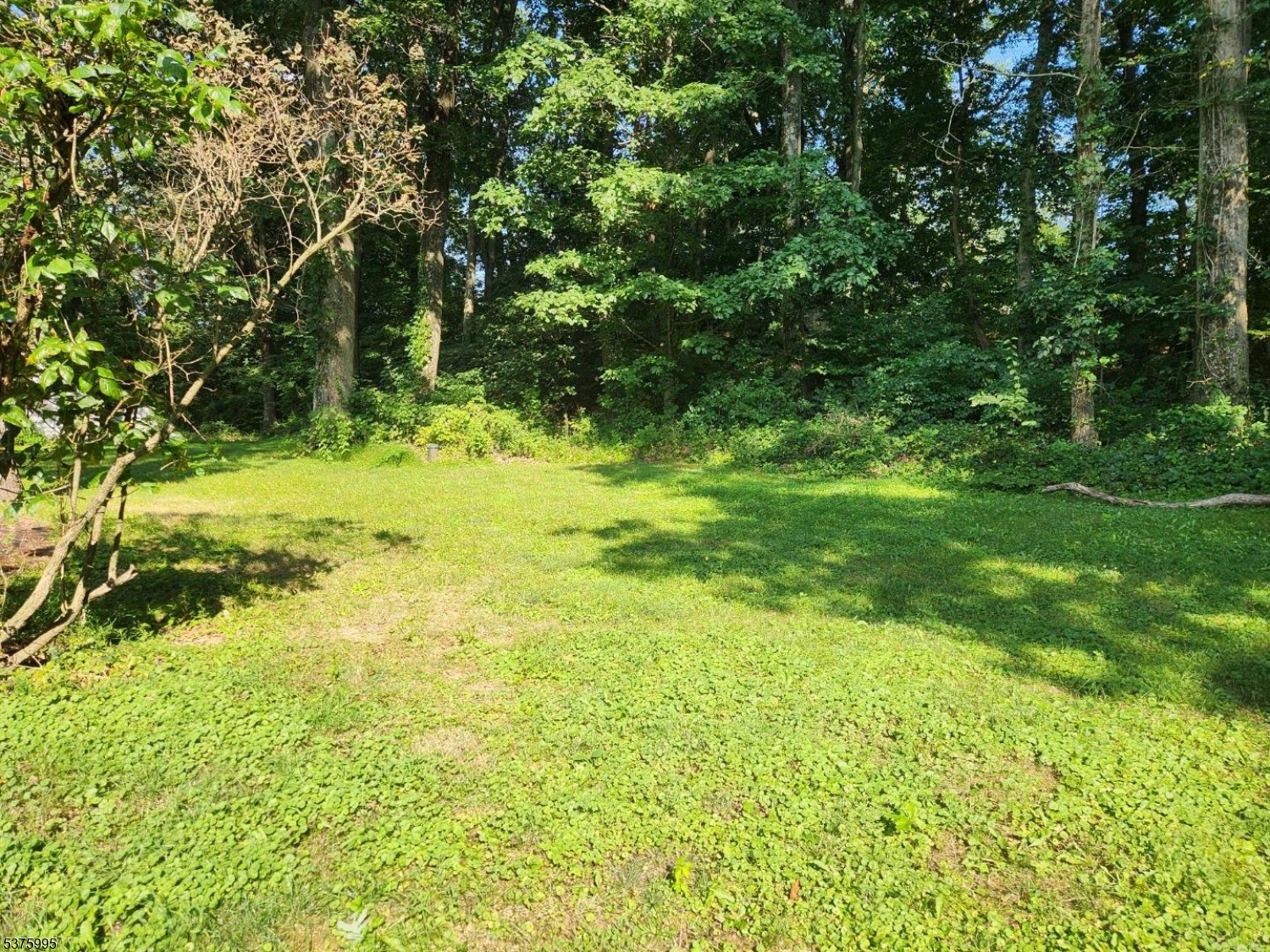 image4