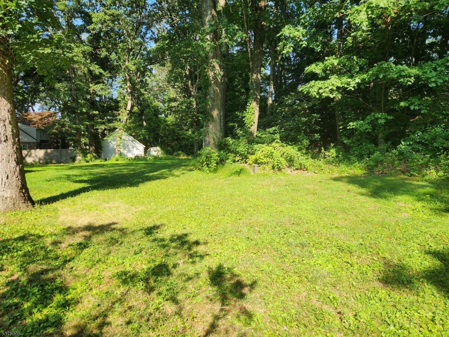 image6