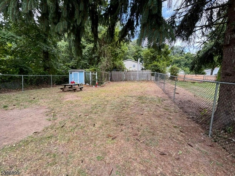 image 25