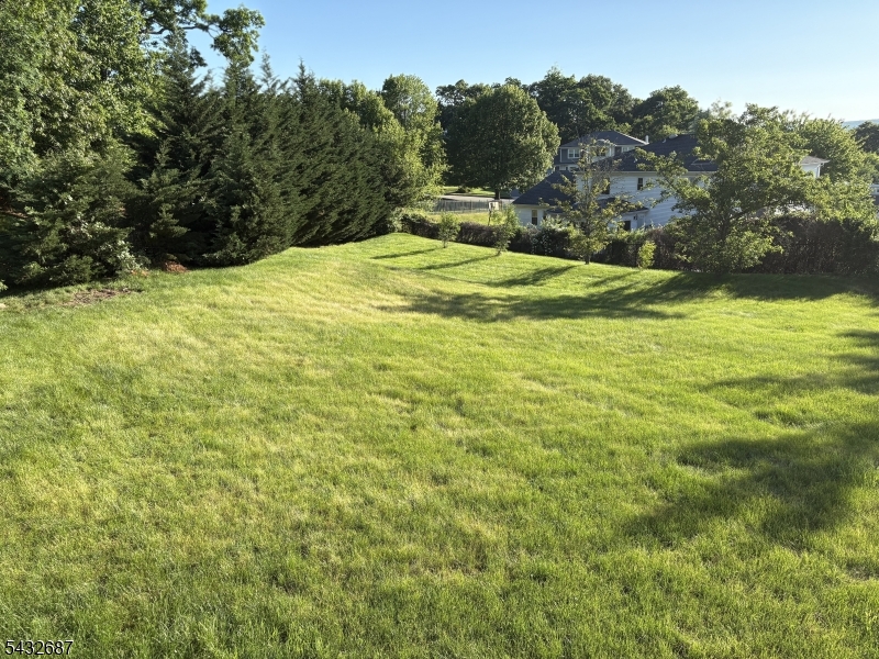 image38