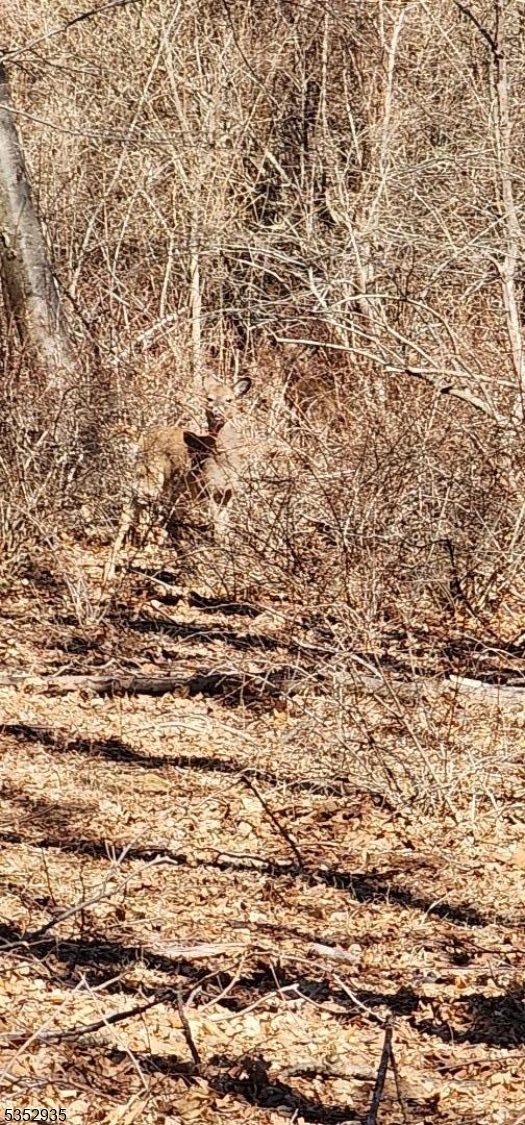 image10