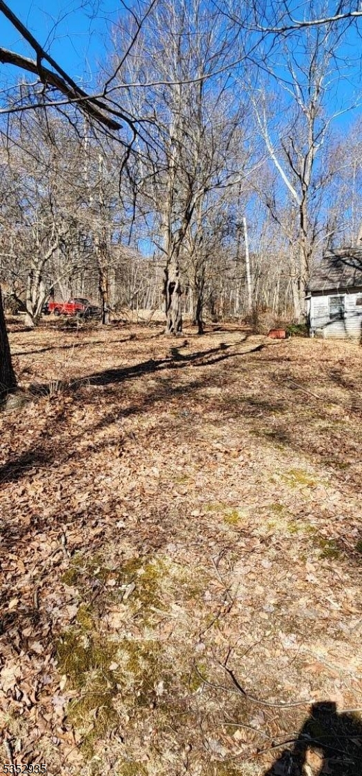 image12