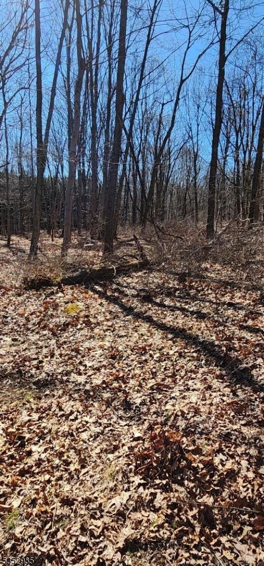 image13