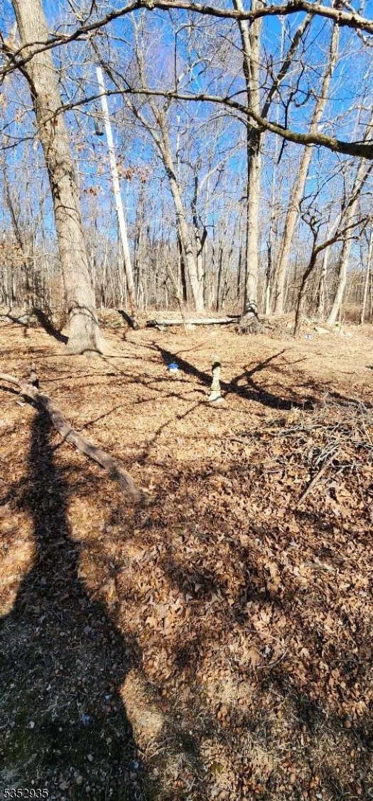 image5