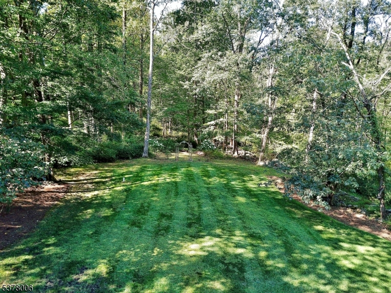 image36