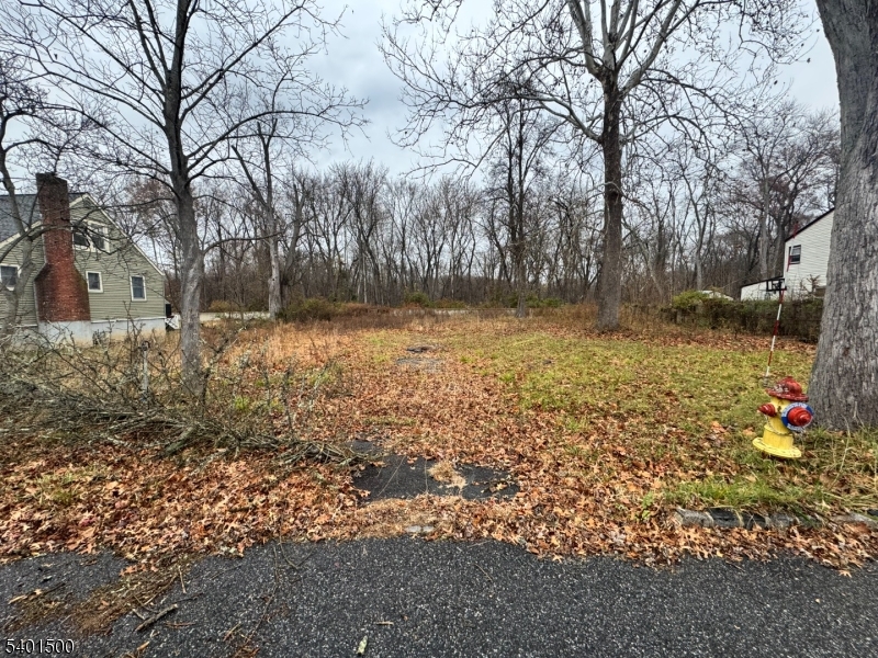 image1