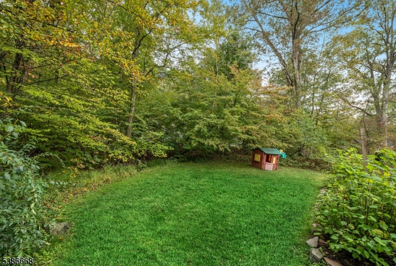 image 30