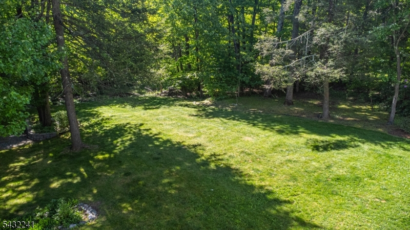 image45