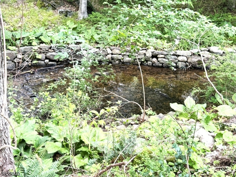 image 30