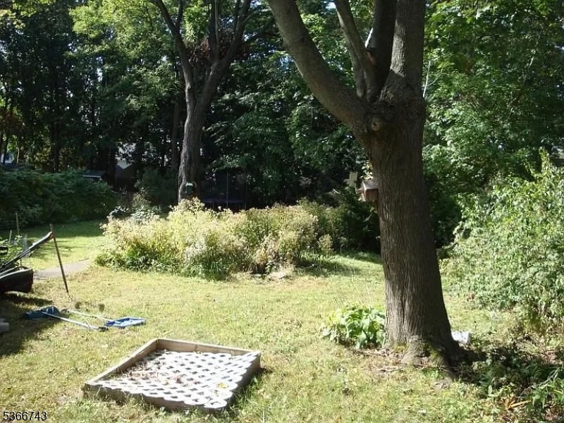 image8