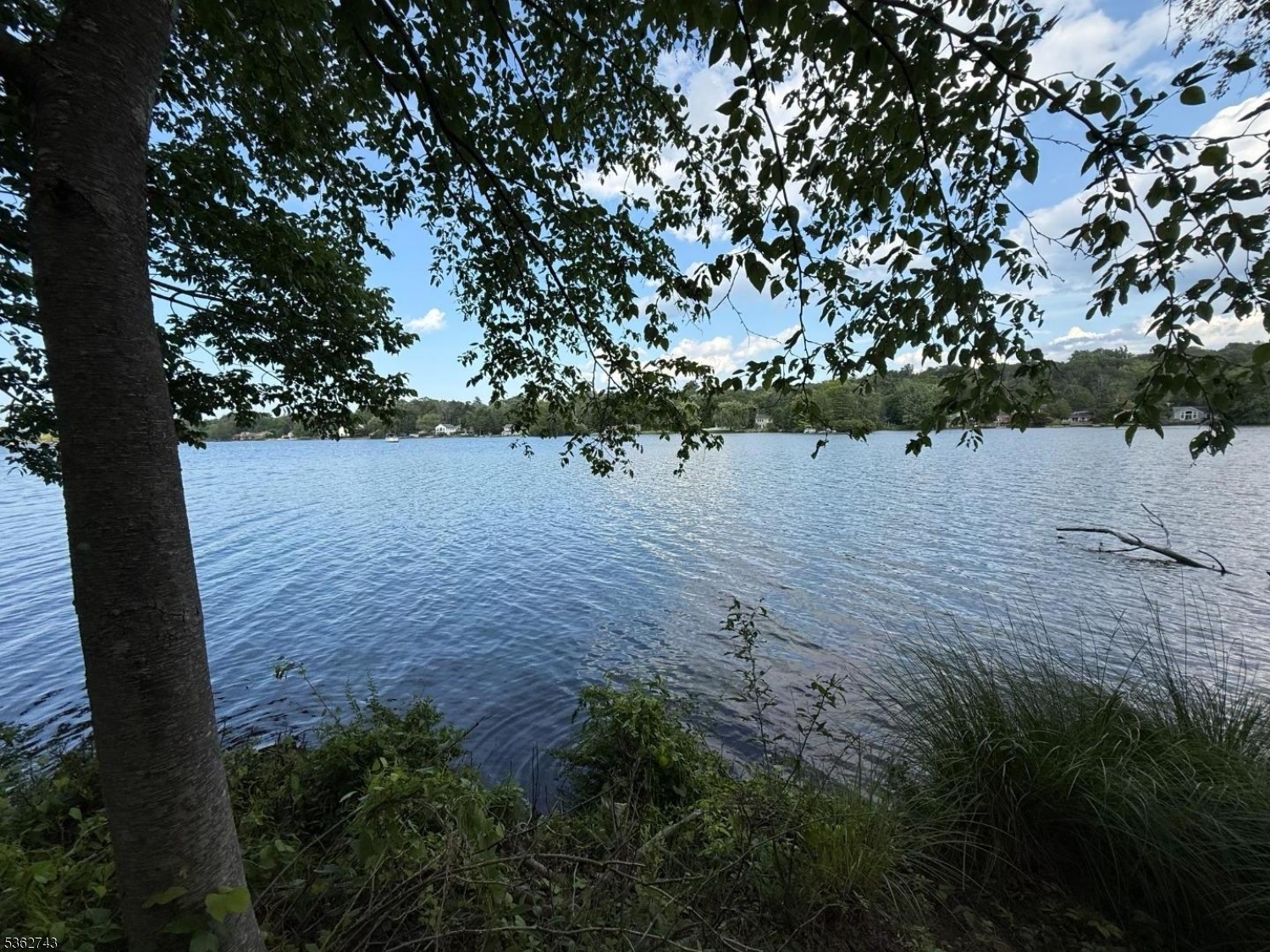 image 29