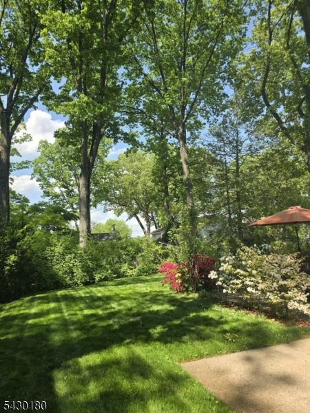 image30