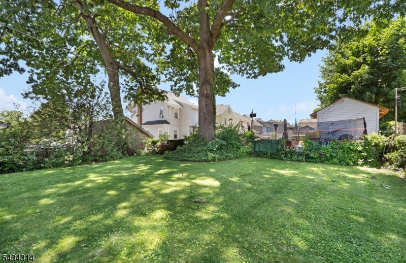 image 17