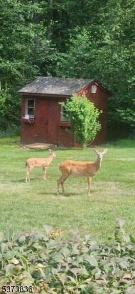 image 48
