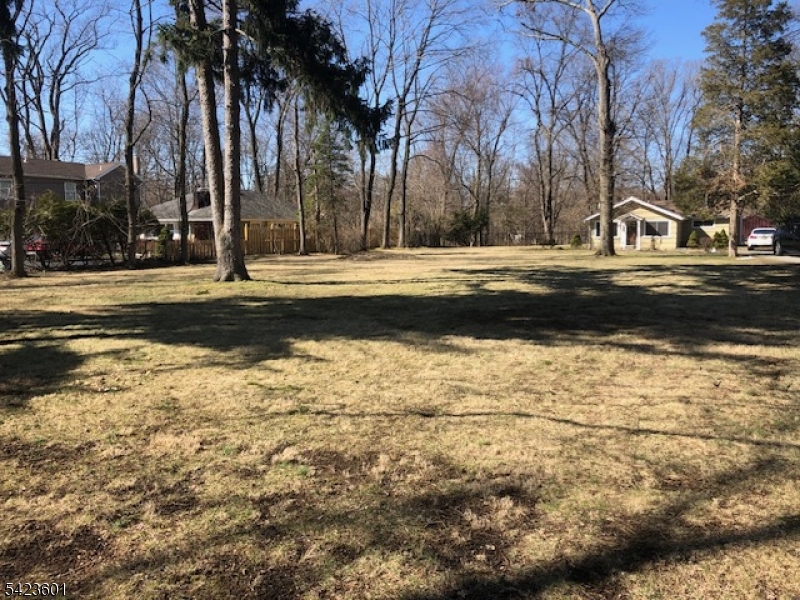 image31