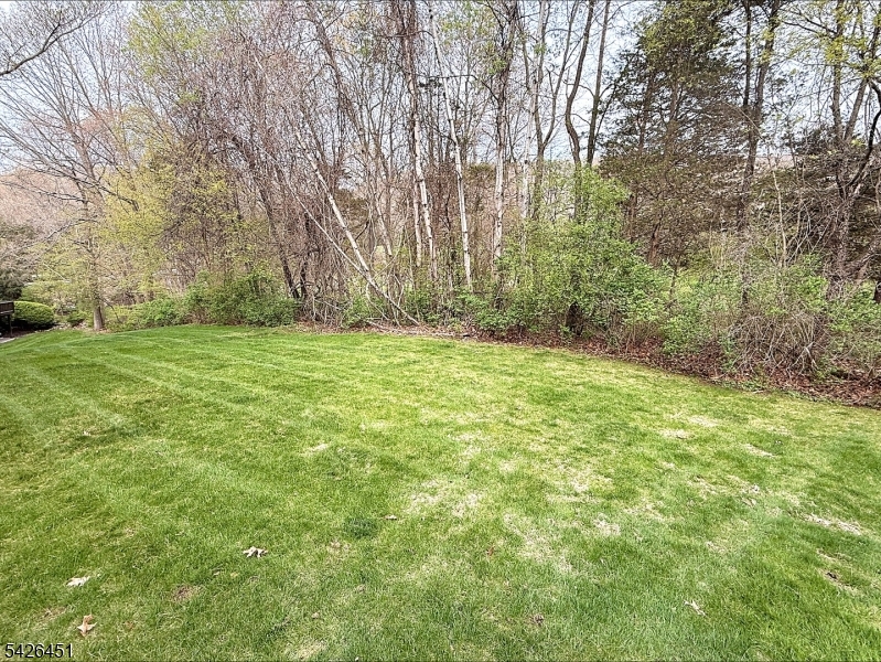 image 36