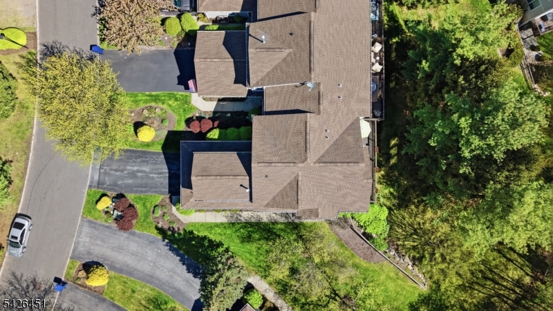 image 38
