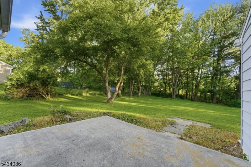 image 36