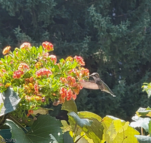 image27