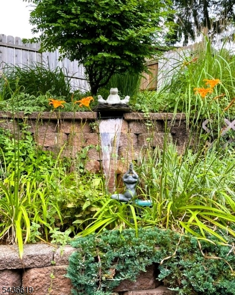 image 30