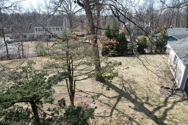 image 43