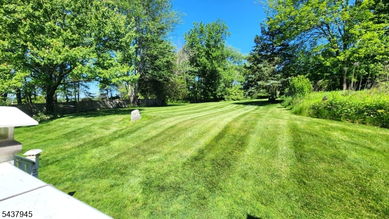 image19