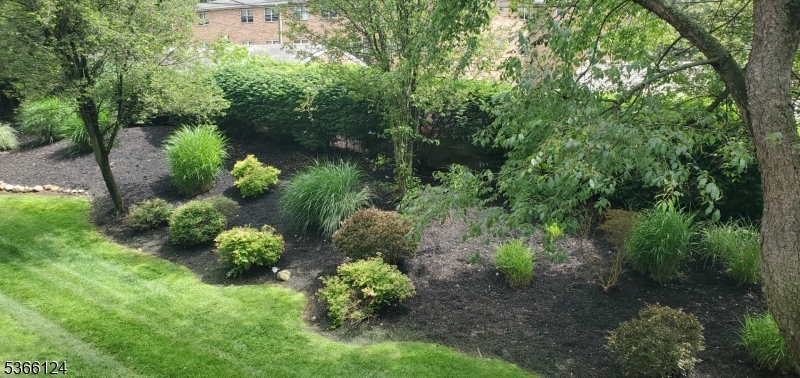 image15