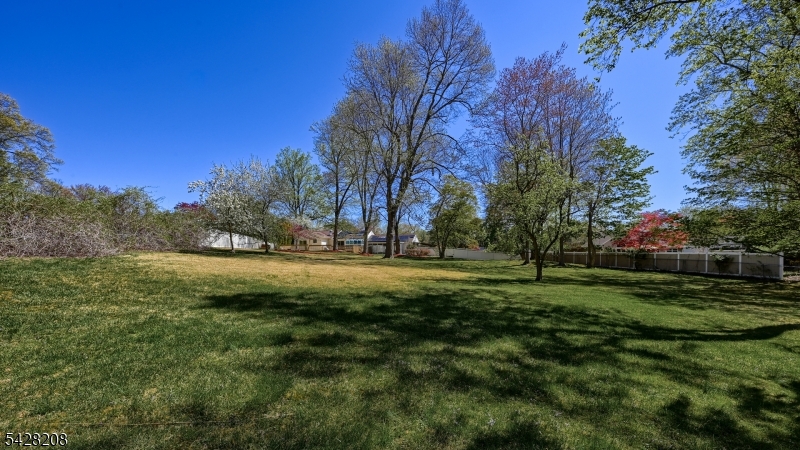 image 30