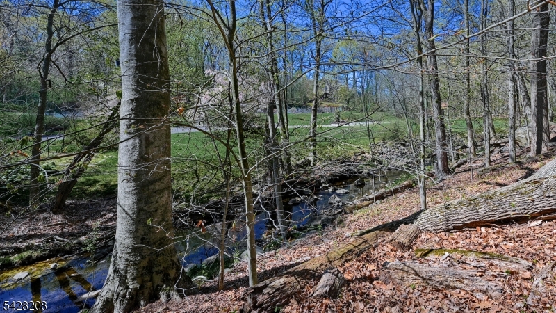 image 32
