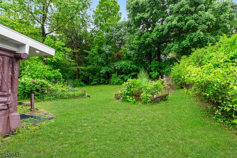 image14