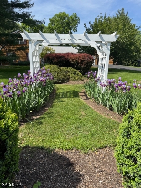 image 31
