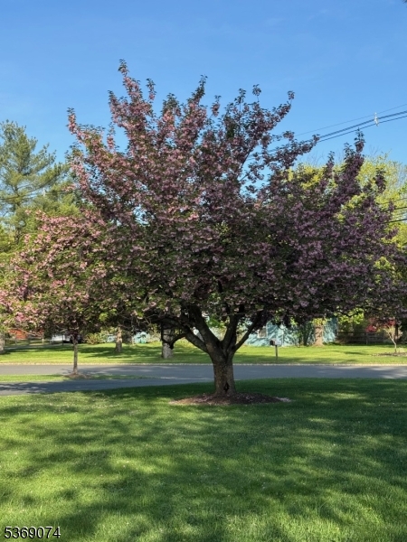 image 32