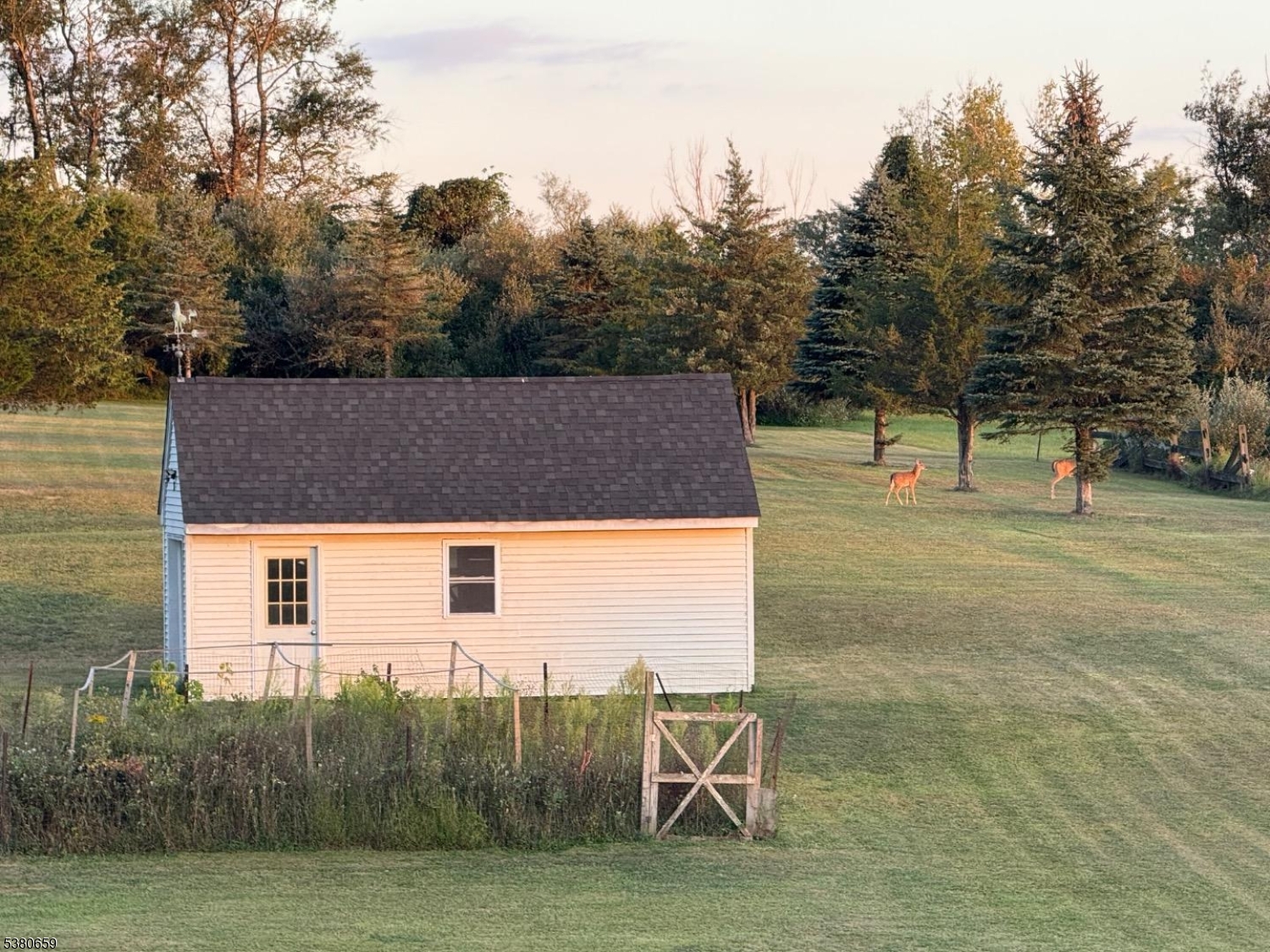 image 14
