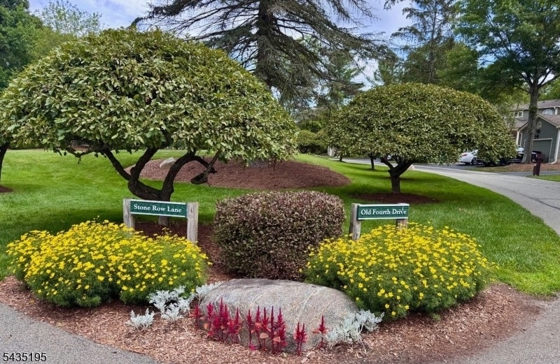 image 37