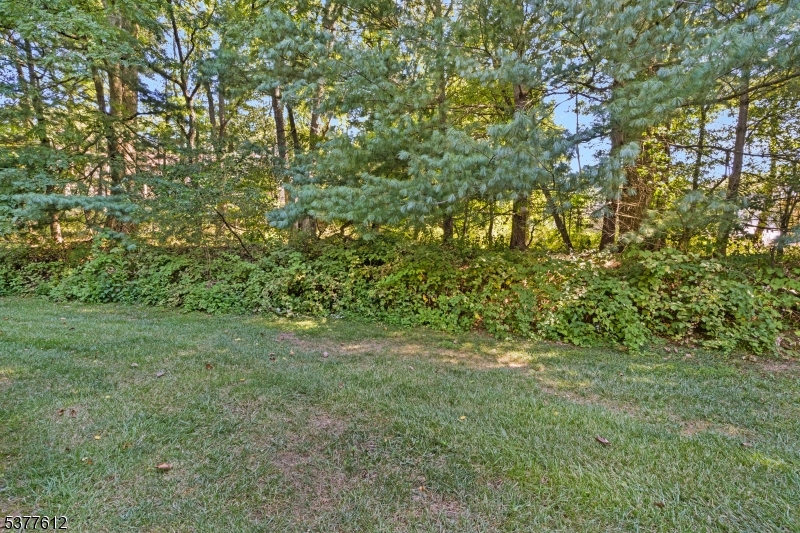 image25