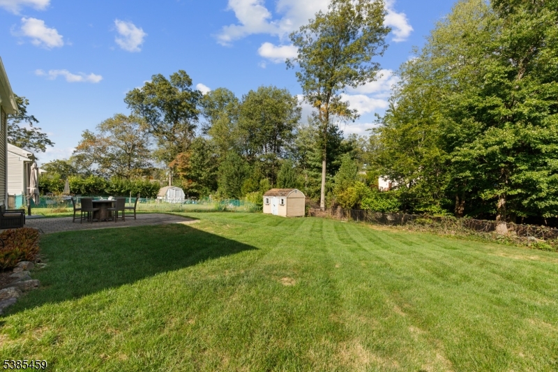 image22