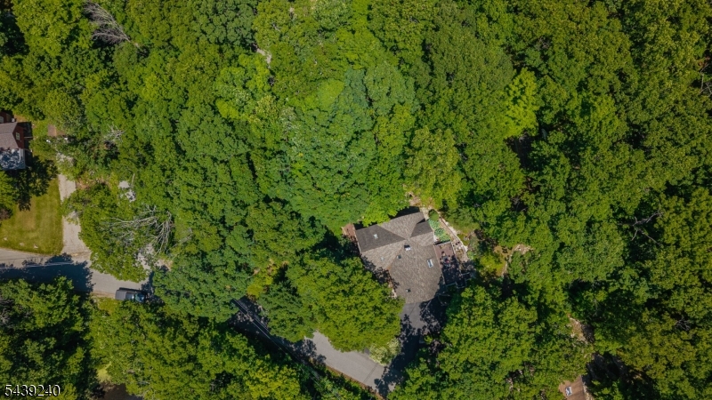 image 36
