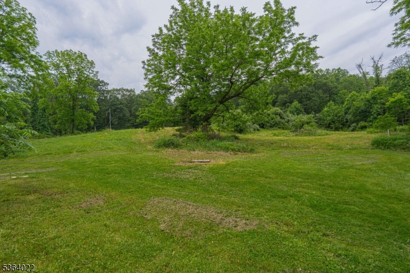 image 42