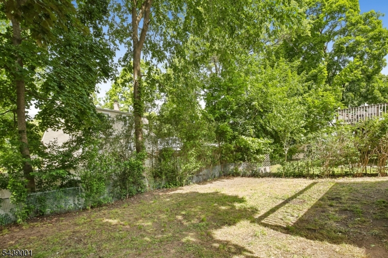 image 31