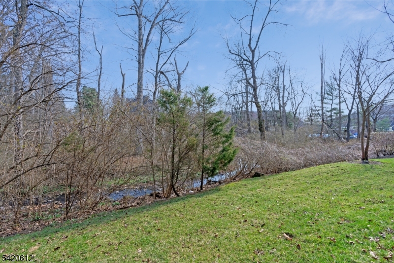 image 30
