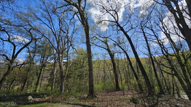image10