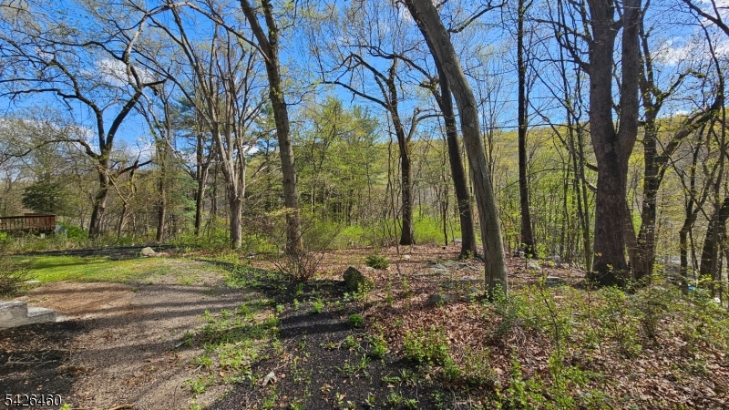 image11