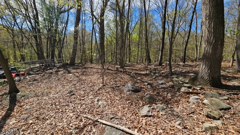 image12