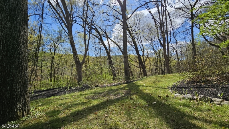 image8