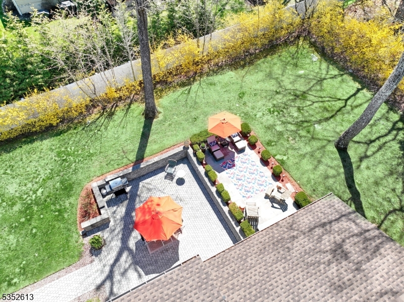 image 32