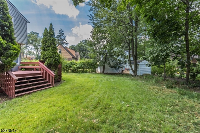 image25