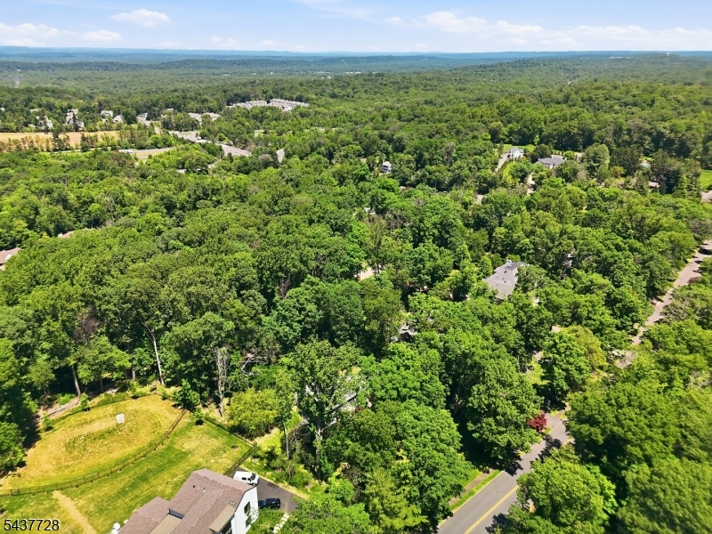 image49