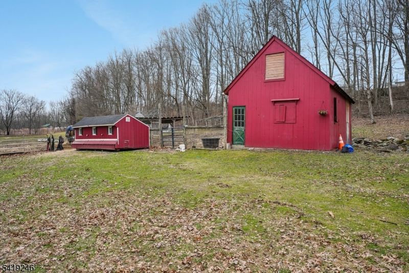 image 31