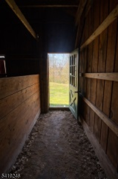 image 46
